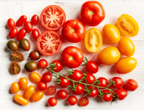 Food Facts and Cooking Tips: Tomatoes