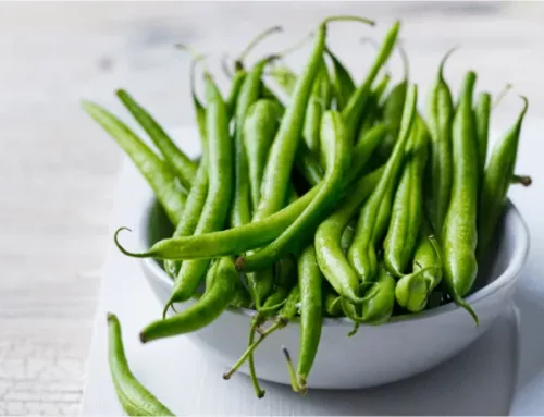Food Facts and Cooking Tips: Green Beans